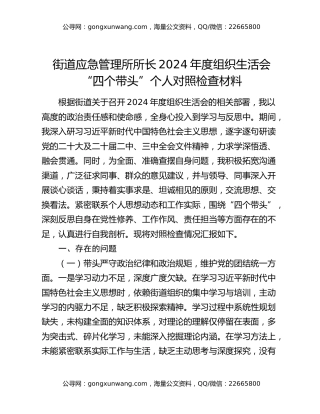 街道应急管理所所长2024年度组织生活会“四个带头”个人对照检查材料