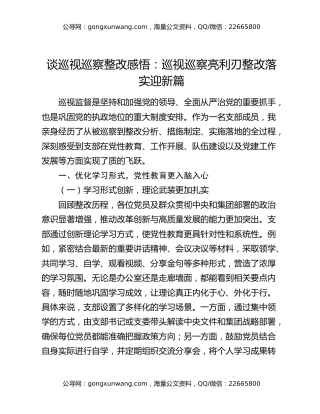 谈巡视巡察整改感悟：巡视巡察亮利刃整改落实迎新篇
