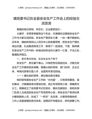 镇党委书记在全县安全生产工作会上的经验交流发言