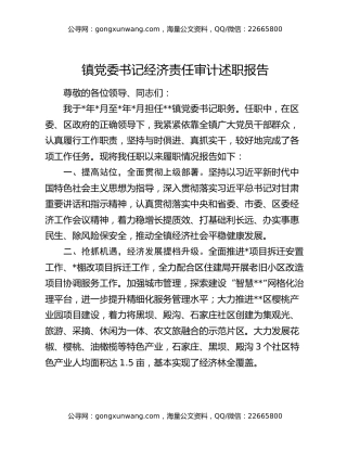 镇党委书记经济责任审计述职报告