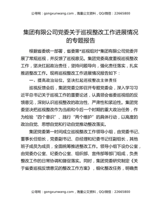 集团有限公司党委关于巡视整改工作进展情况的专题报告