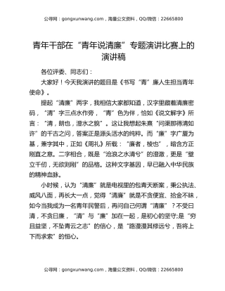 青年干部在“青年说清廉”专题演讲比赛上的演讲稿