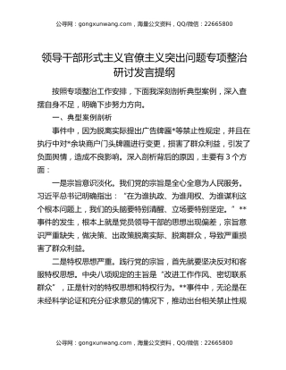 领导干部形式主义官僚主义突出问题专项整治研讨发言提纲