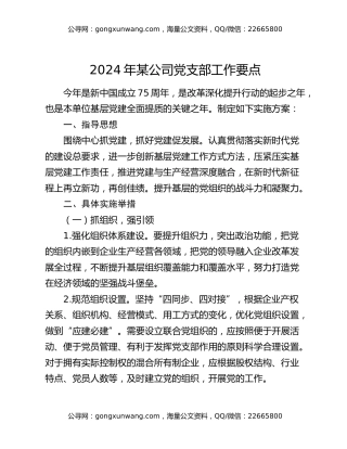 2024年某公司党支部工作要点