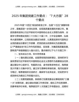 2025年集团党建工作要点：“7大方面”28个要点