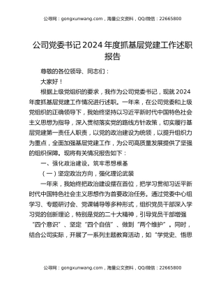 公司党委书记2024年度抓基层党建工作述职报告