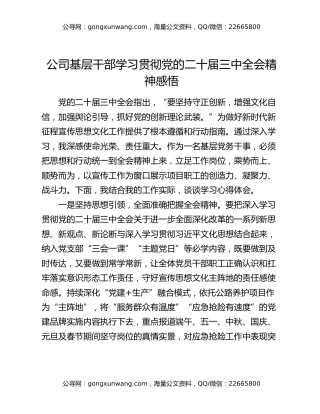公司基层干部学习贯彻党的二十届三中全会精神感悟