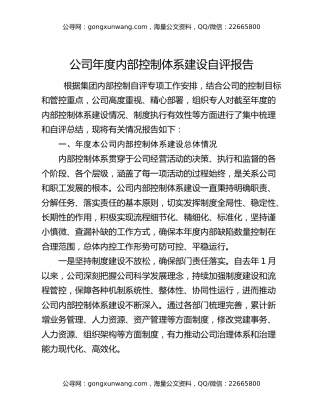 公司年度内部控制体系建设自评报告