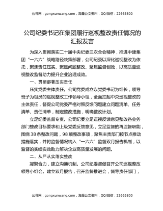 公司纪委书记在集团履行巡视整改责任情况的汇报发言