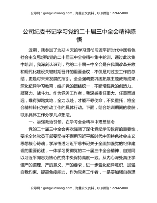 公司纪委书记学习党的二十届三中全会精神感悟