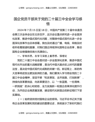 国企党员干部关于党的二十届三中全会学习感悟