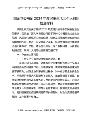 国企党委书记2024年度民主生活会个人对照检查材料