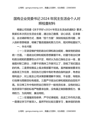 国有企业党委书记2024年民主生活会个人对照检查材料