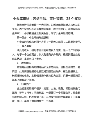 小金库审计：各类手法、审计策略、28个案例
