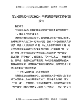 某公司党委书记2024年抓基层党建工作述职报告