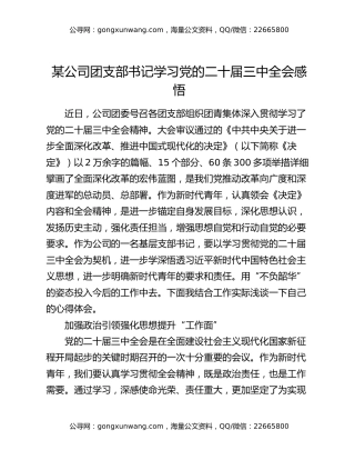 某公司团支部书记学习党的二十届三中全会感悟