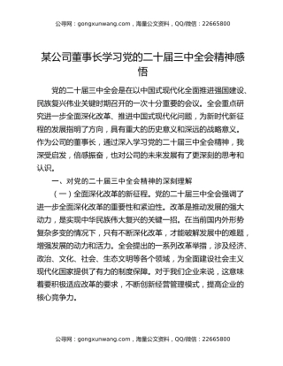 某公司董事长学习党的二十届三中全会精神感悟