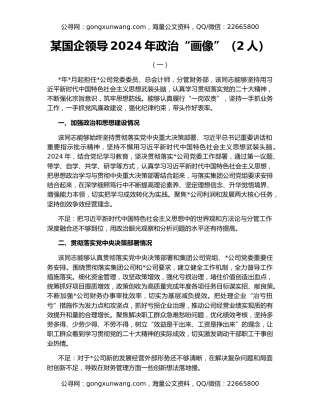 某国企领导2024年政治“画像”（2人）