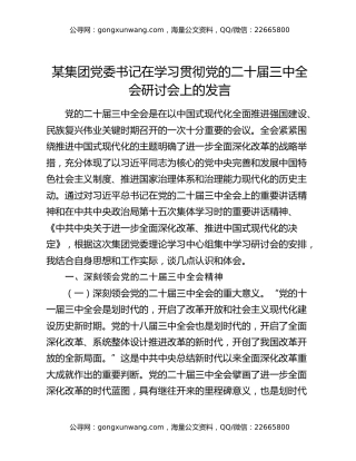 某集团党委书记在学习贯彻党的二十届三中全会研讨会上的发言