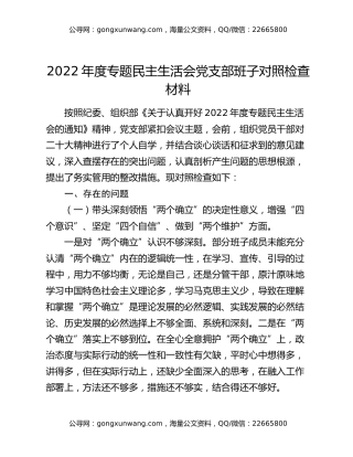 2022年度专题民主生活会党支部班子对照检查材料