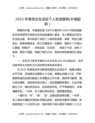 2022年度民主生活会个人发言提纲(乡镇副职）