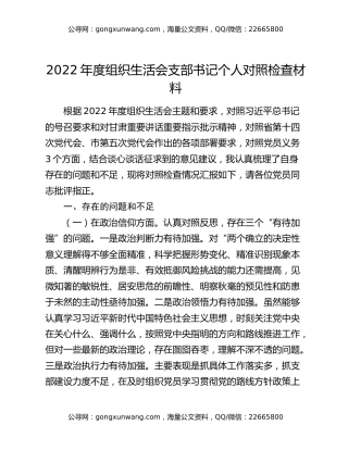2022年度组织生活会支部书记个人对照检查材料