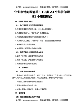 企业审计问题清单：10类23个共性问题81个表现形式
