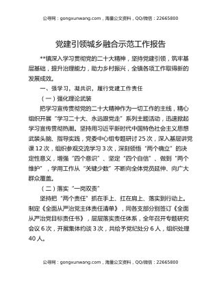 党建引领城乡融合示范工作报告