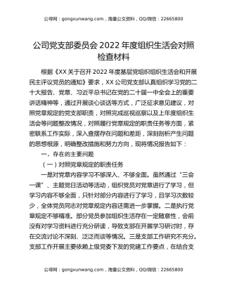 公司党支部委员会2022年度组织生活会对照检查材料