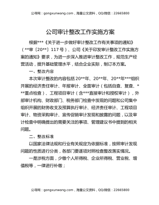 公司审计整改工作实施方案