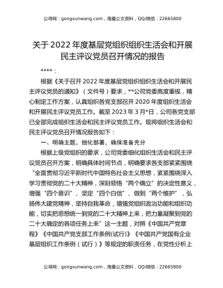 关于2022年度基层党组织组织生活会和开展民主评议党员召开情况的报告