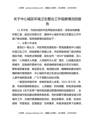 关于中心城区环境卫生整治工作视察情况的报告