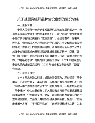 关于基层党组织品牌建设案例的情况总结