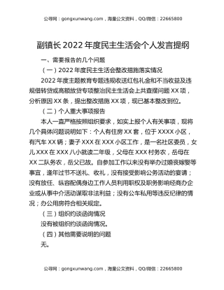 副镇长2022年度民主生活会个人发言提纲