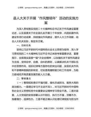 县人大关于开展“作风整顿年”活动的实施方案
