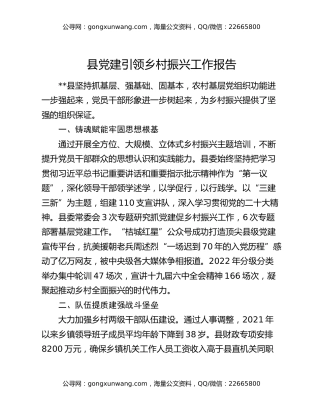 县党建引领乡村振兴工作报告