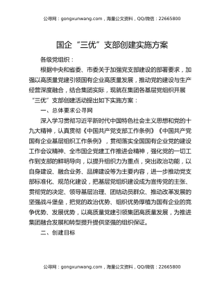 国企“三优”支部创建实施方案
