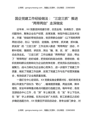 国企党建工作经验做法：“三定三抓”推进“两带两创”走深做实