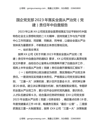 国企党支部2023年落实全面从严治党（党建）责任年中自查报告