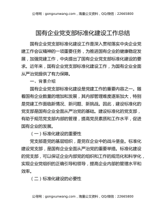 国有企业党支部标准化建设工作总结