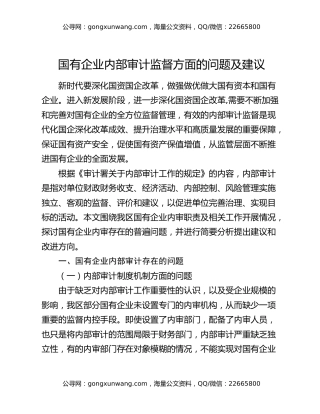国有企业内部审计监督方面的问题及建议