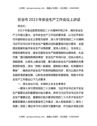 在全市2023年安全生产工作会议上讲话