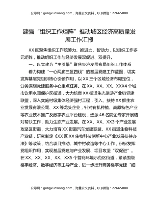 建强“组织工作矩阵”推动城区经济高质量发展工作汇报