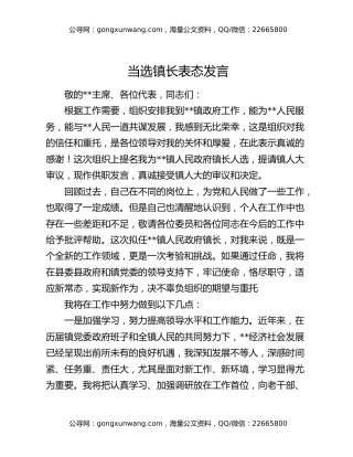 当选镇长表态发言