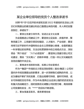 某企业单位领导的党员个人整改承诺书