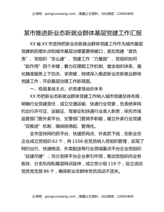 某市推进新业态新就业群体基层党建工作汇报