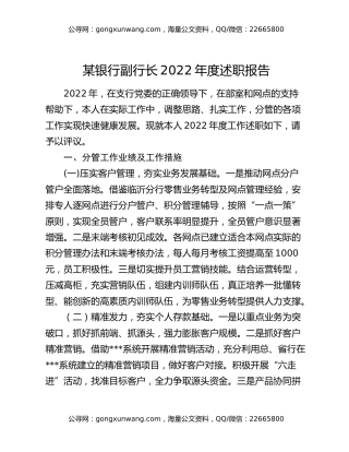 某银行副行长2022年度述职报告