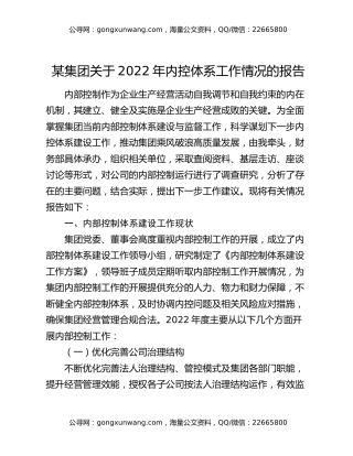 某集团关于2022年内控体系工作情况的报告