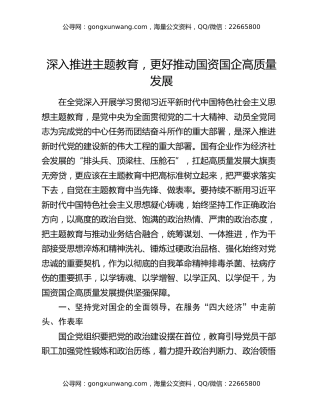 深入推进主题教育 ，更好推动国资国企高质量发展