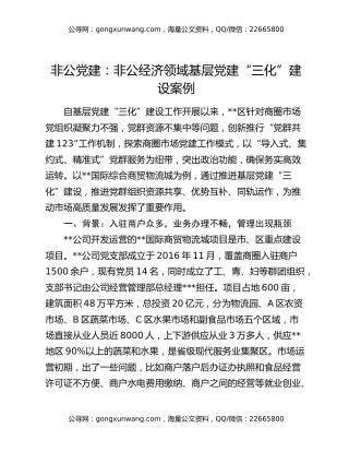 非公党建：非公经济领域基层党建“三化”建设案例